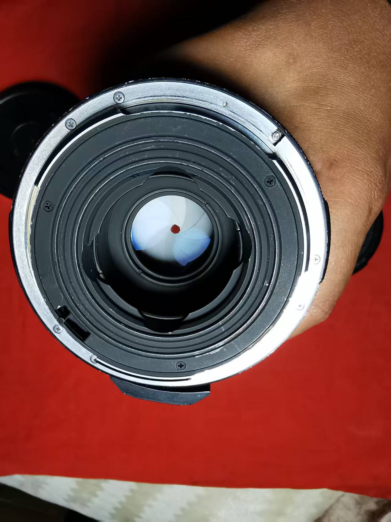 [Product=Lens][Brand=Pentax][Model=Super-Multi-Coated MACRO-TAKUMAR 6X7 135mm F4][FocalLength=135][MaxAPT=4][Mount=PK67][SN=8431347][Frame=6X7][Date=20250425][MD5=6cf96514d97cfd19bc355b113bc14d24].jpg
