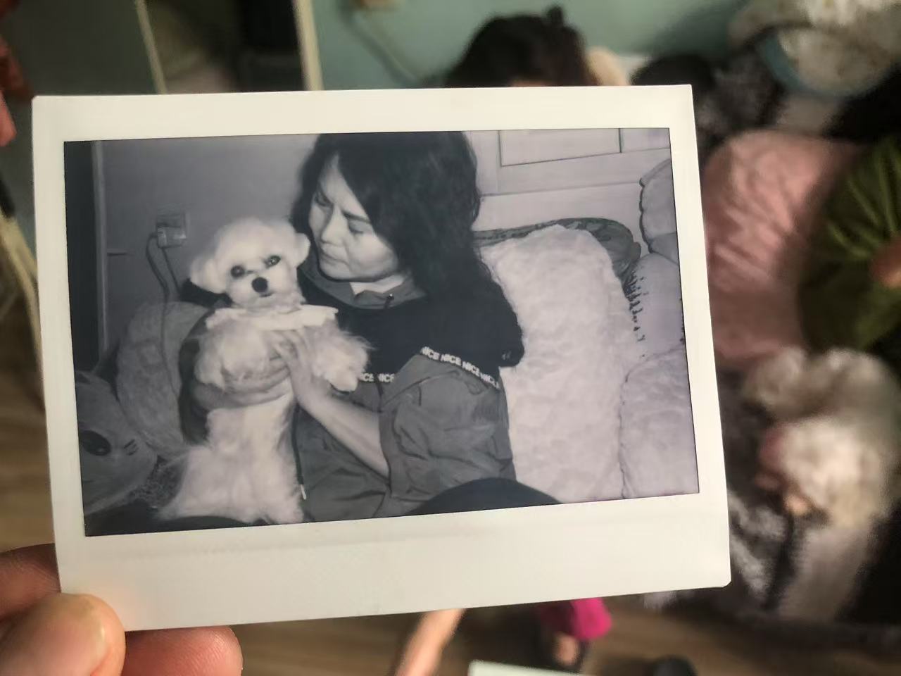 [Product=Film][Brand=FUJIFILM][Model=instax WIDE MONO CHROME][Frame=108mx86mm][ShotQTY=10][ExpDate=20200501][Date=20250508][MD5=7b78309d53f1832bd0d2f6f36c81634e].jpg