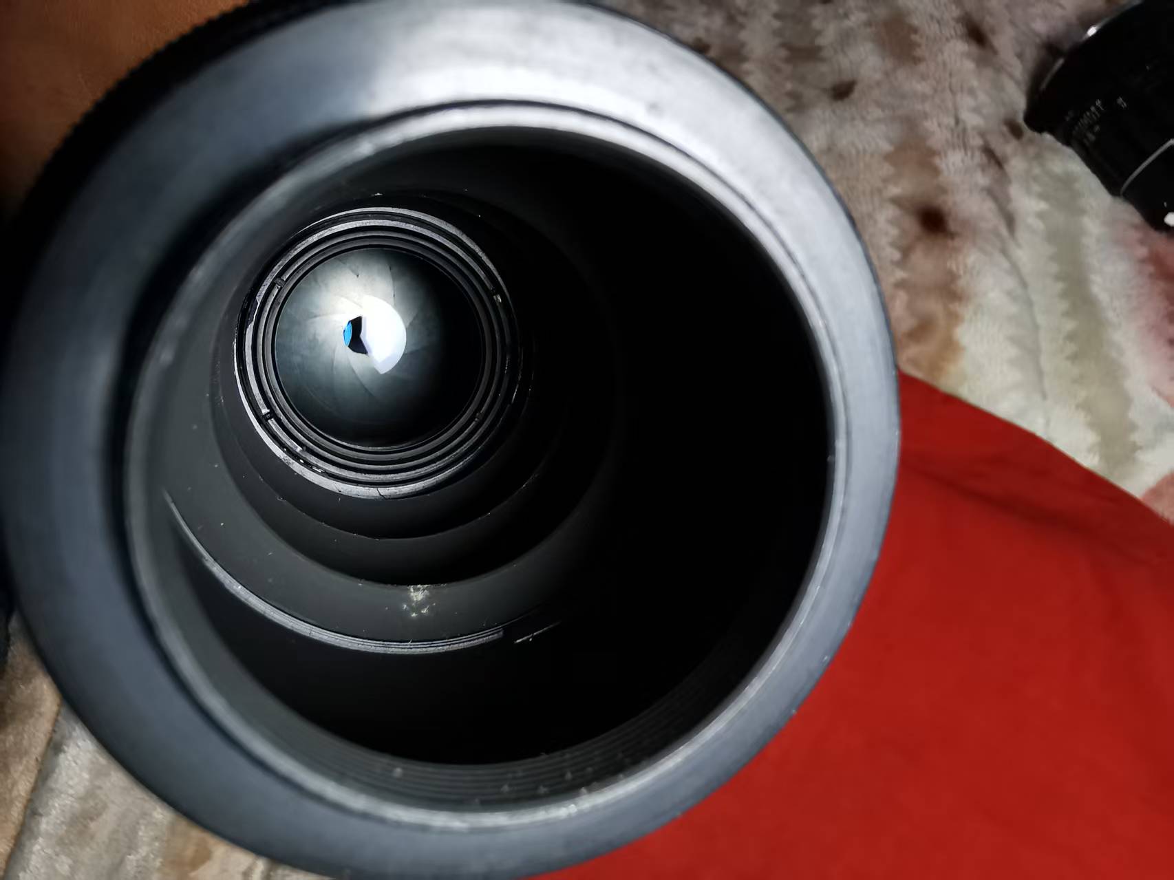 [Product=Lens][Brand=Pentax][Model=Takumar 500mm F4.5][FocalLength=500][MaxAPT=4.5][Mount=M42][SN=1061484][Frame=135][Date=20250517][MD5=39a6155a0b9278d0d91f2212d965aa6c].jpg