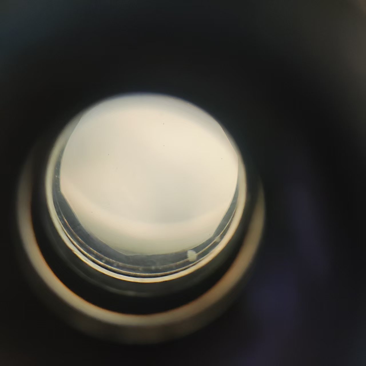 c690a8fc62e650318d1751ee26007f1.jpg