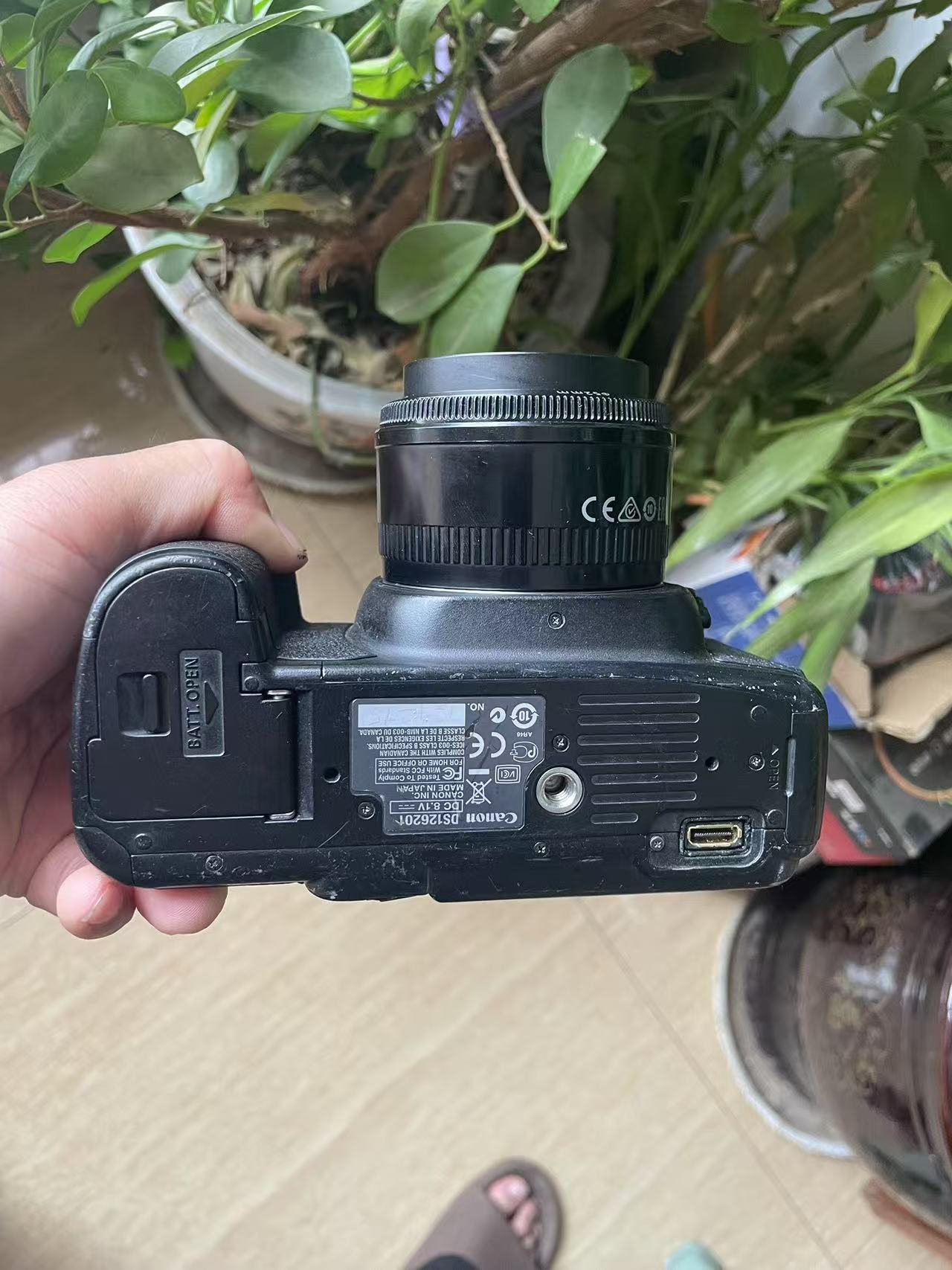 c528453da72f2e59e214515d5284d8e.jpg