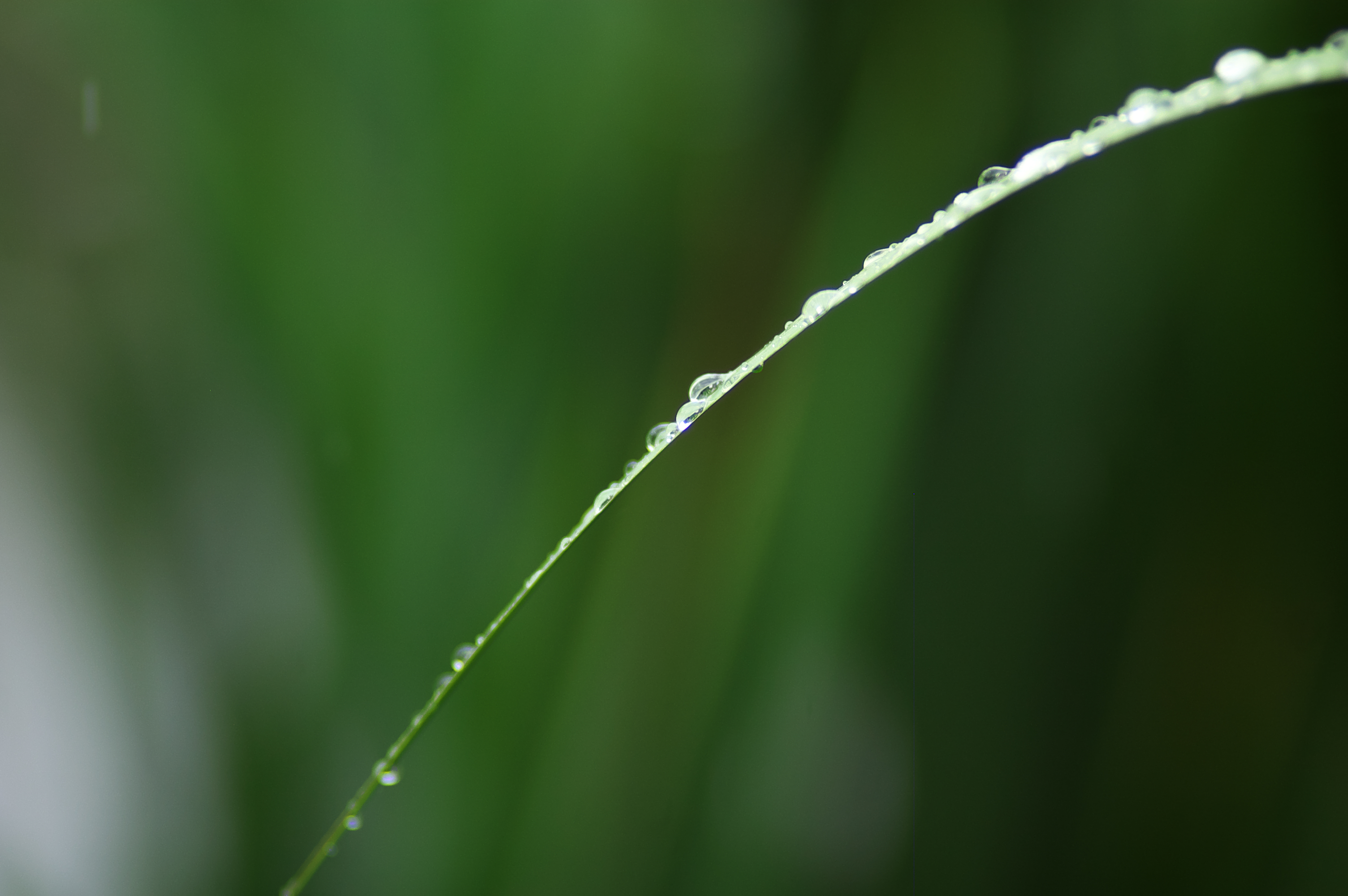 DSC_3585.jpg
