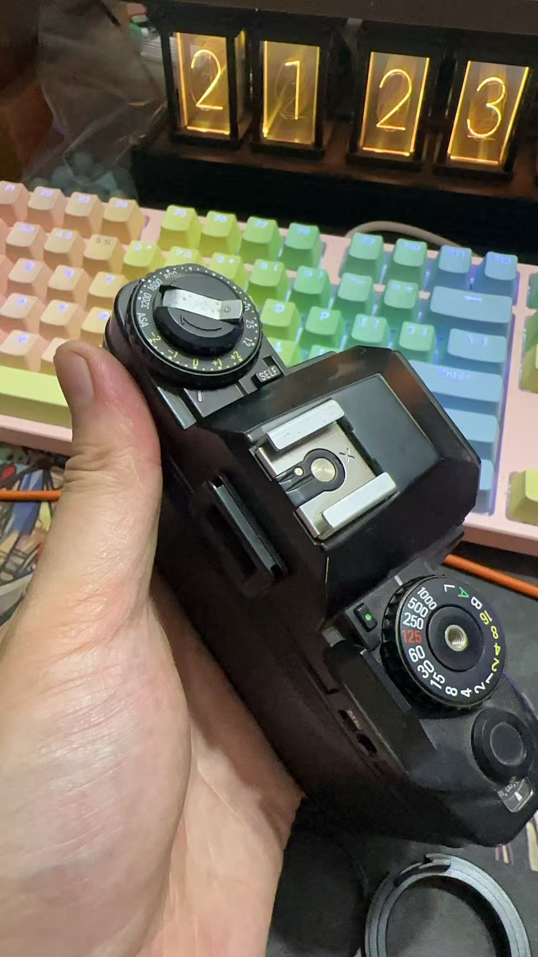[Product=Camera][Brand=Ricoh][Model=XR7][Date=20250711][MD5=0288a97388350c391ff168cbc210cb39].jpg