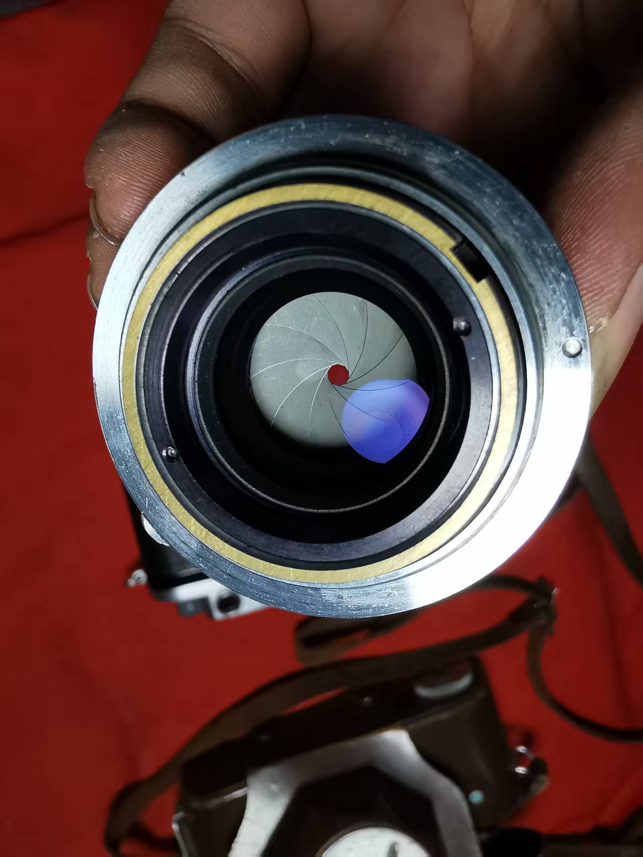 [Product=Camera][Brand=nicca][Model=TYPE-5][SN=126044][Date=20250628][MD5=cfe42cebd801d4104cc15106b408da76].jpg