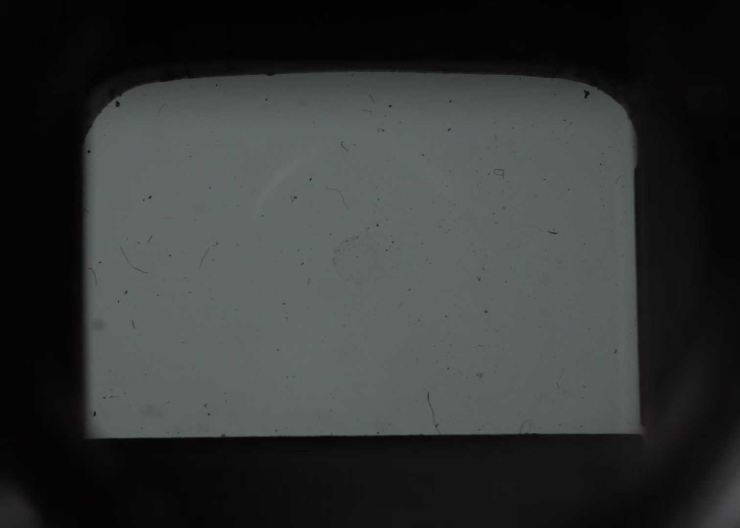 35f3104678d4cb49ded60fd600f119c9.jpg
