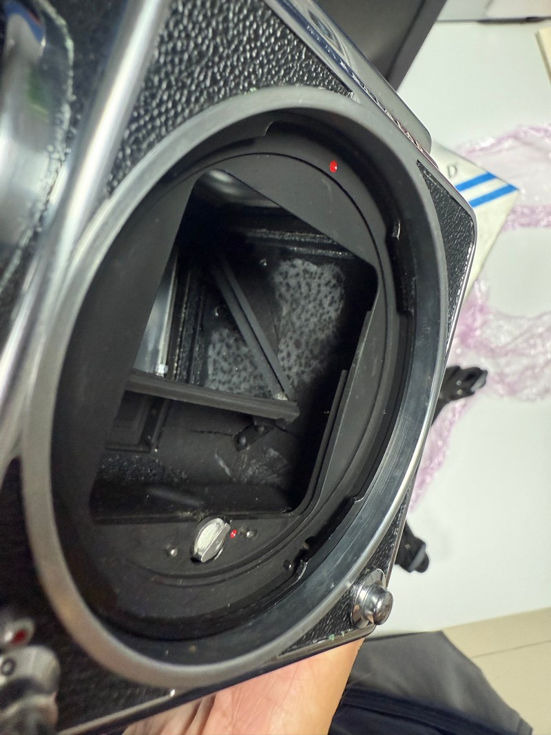 [Product=Camera][Brand=HASSELBLAD][Model=503CX][SN=11ES13941][Date=20250718][MD5=e38299afd16090111fc3941bc0e0347a].jpg