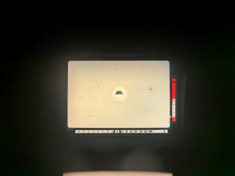 13794072527061a3a6ce42342a7d51b.jpg