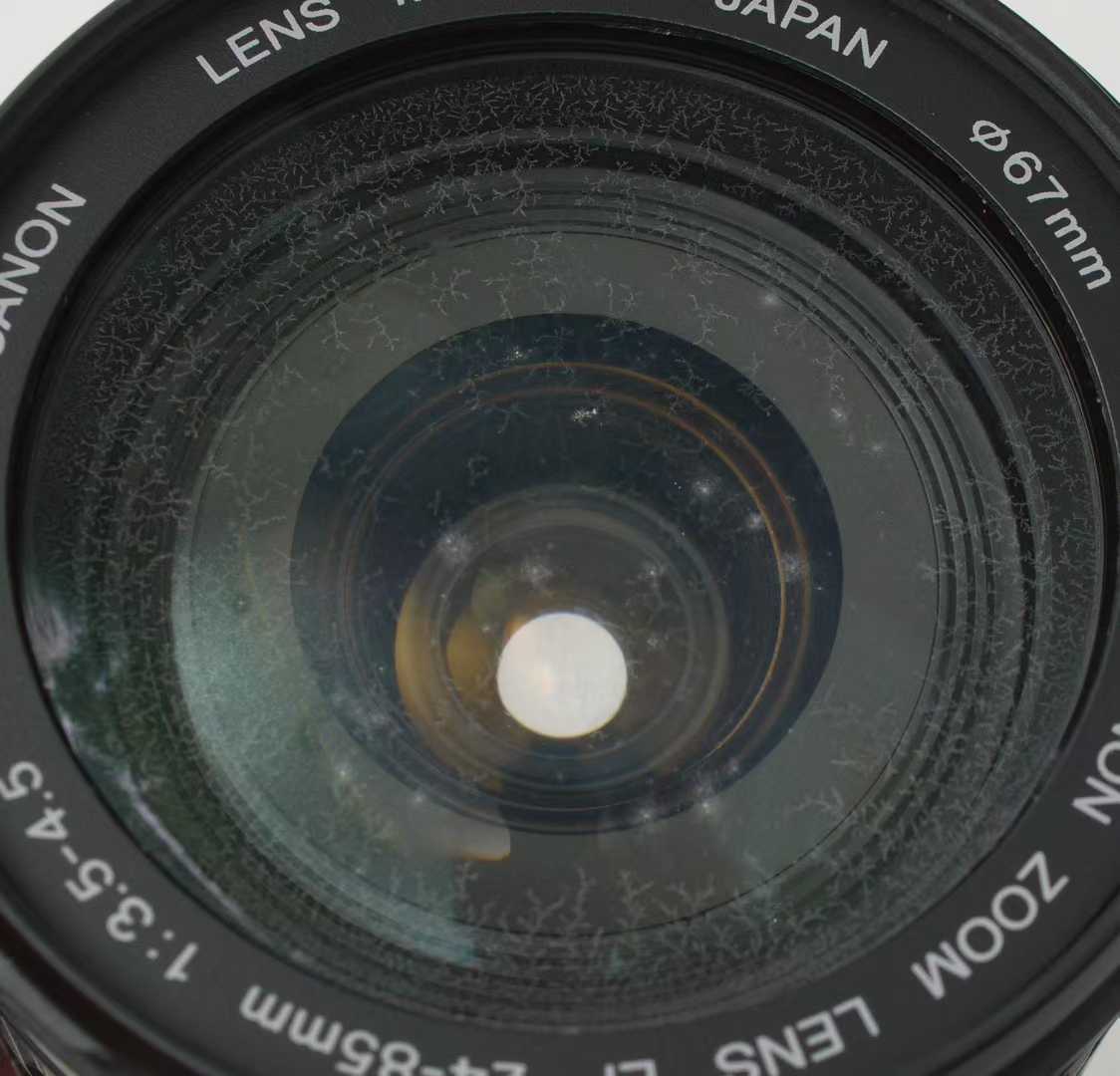 d8004afaf7bf326f1dce9c586b73e483.jpg