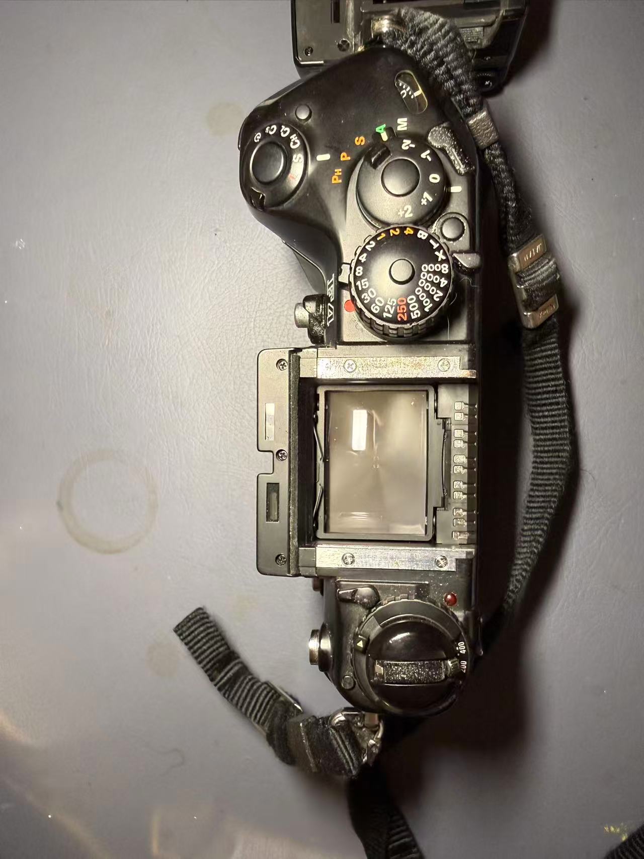 [Product=Camera][Brand=Nikon][Model=F4][SN=2227261][Date=20250903][MD5=741b83362b52c1819314367583401f68].jpg