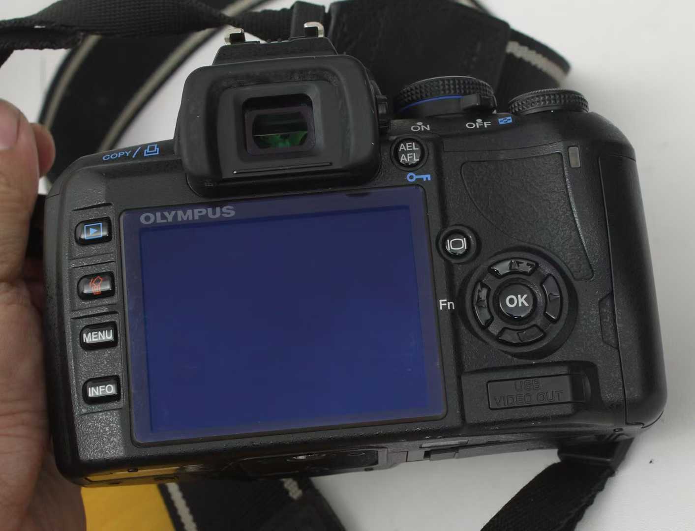 a05e98b8fda690387efac5536124af99.jpg