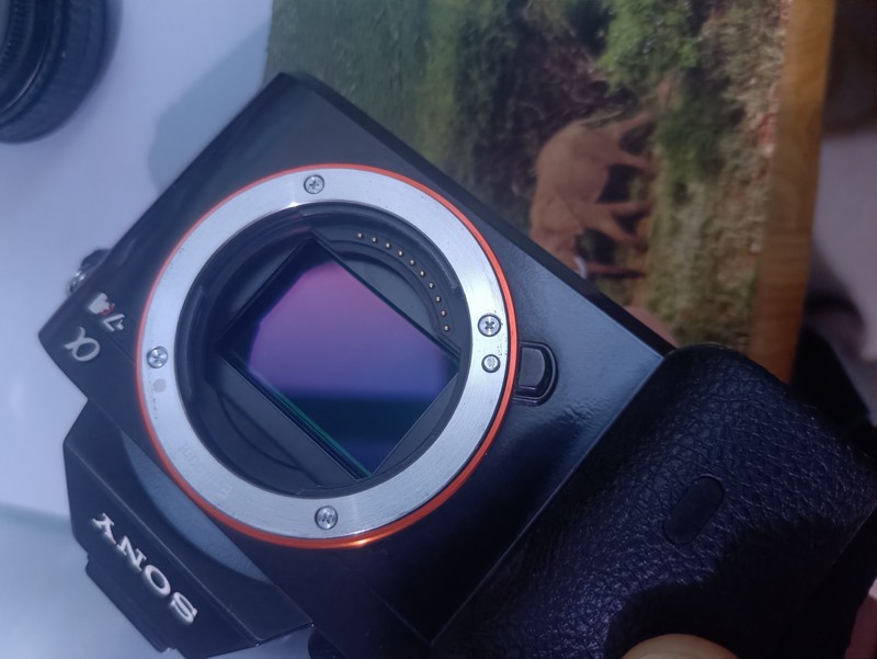 [Product=Camera][Brand=SONY][Model=ILCE-7R α 7R][SN=5277821][Date=20250912][MD5=4d15b8ae2bb05fd64ad5600b54a8f5f2].jpg