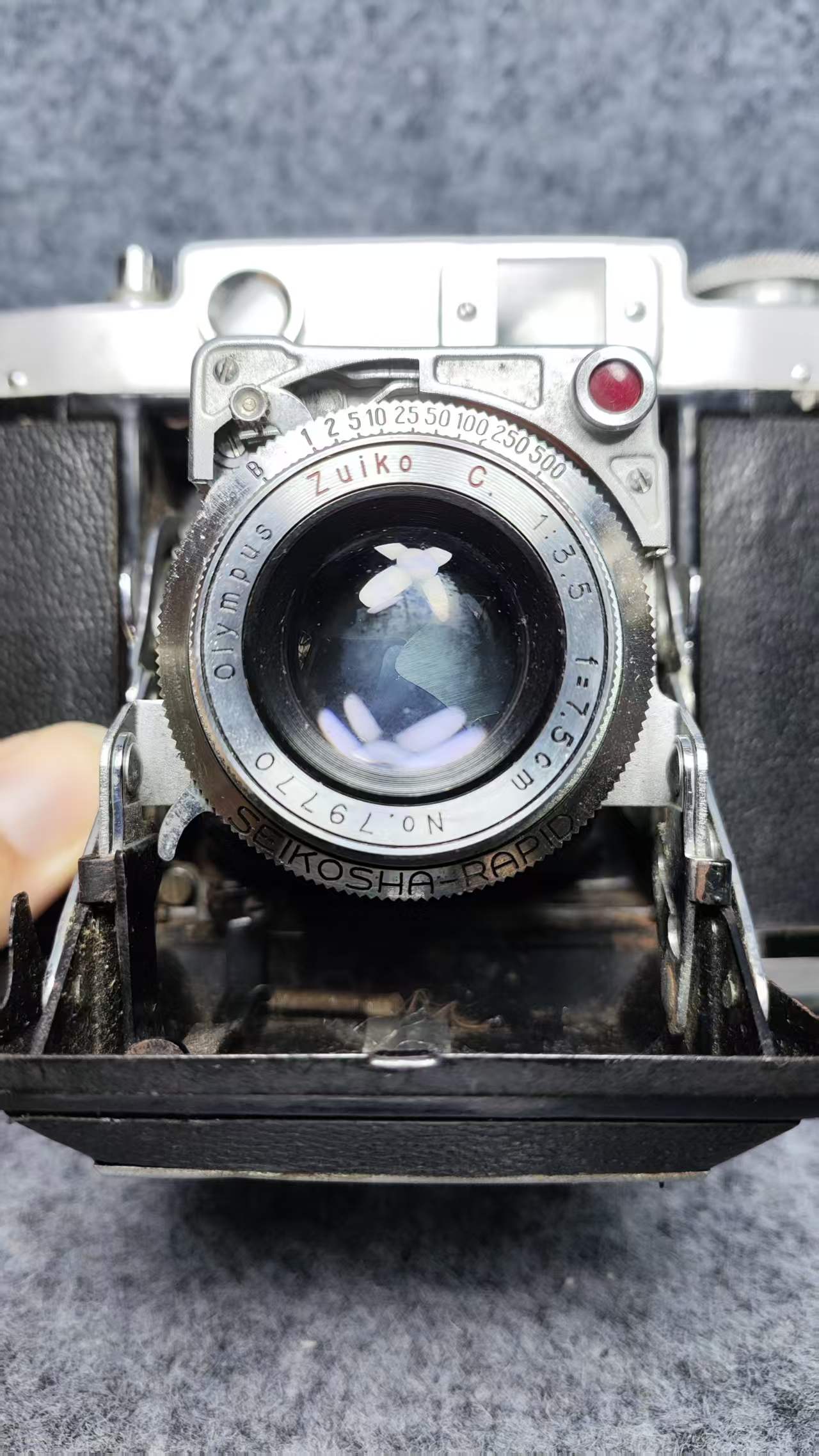 d6ef4511b7ab54a8738e0e7c61c273e6.jpg