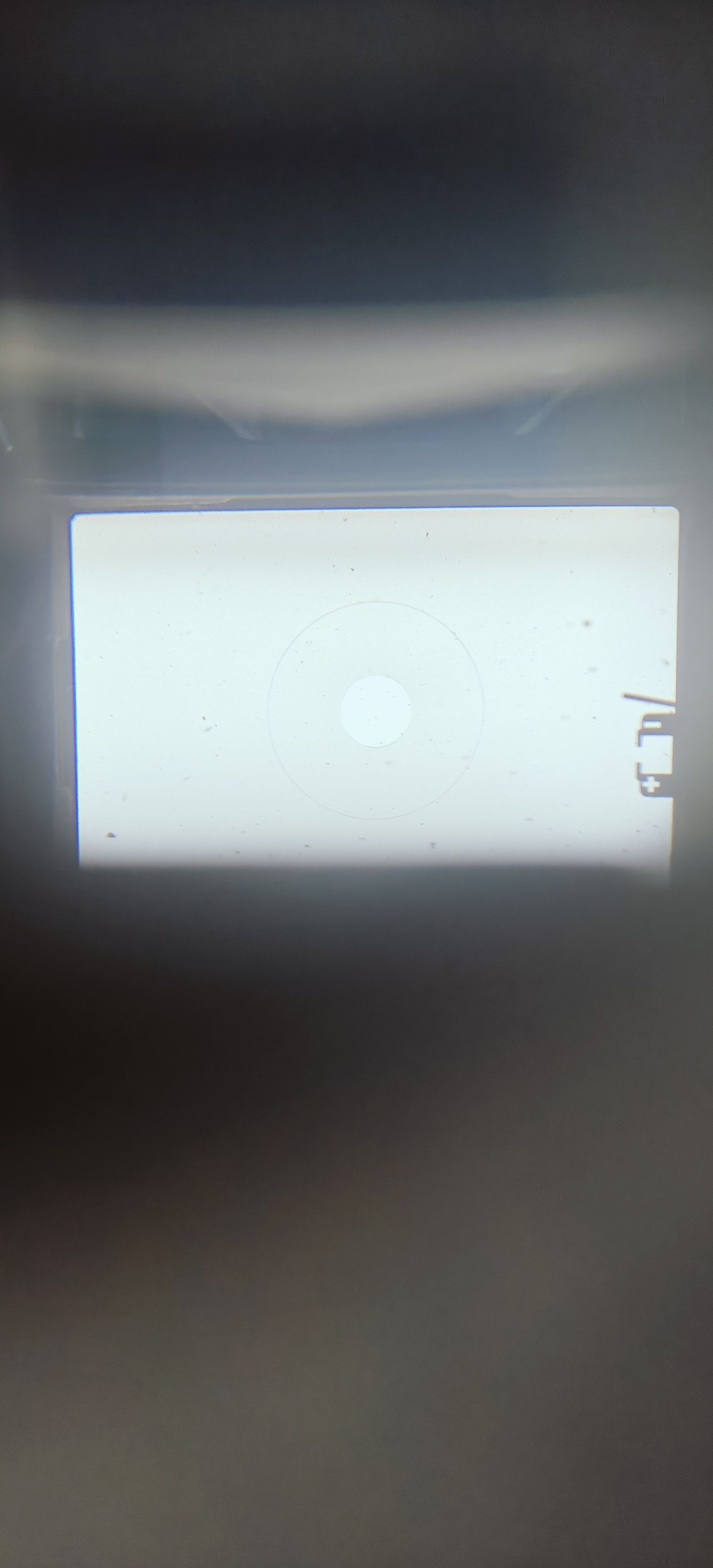 1000015166.jpg